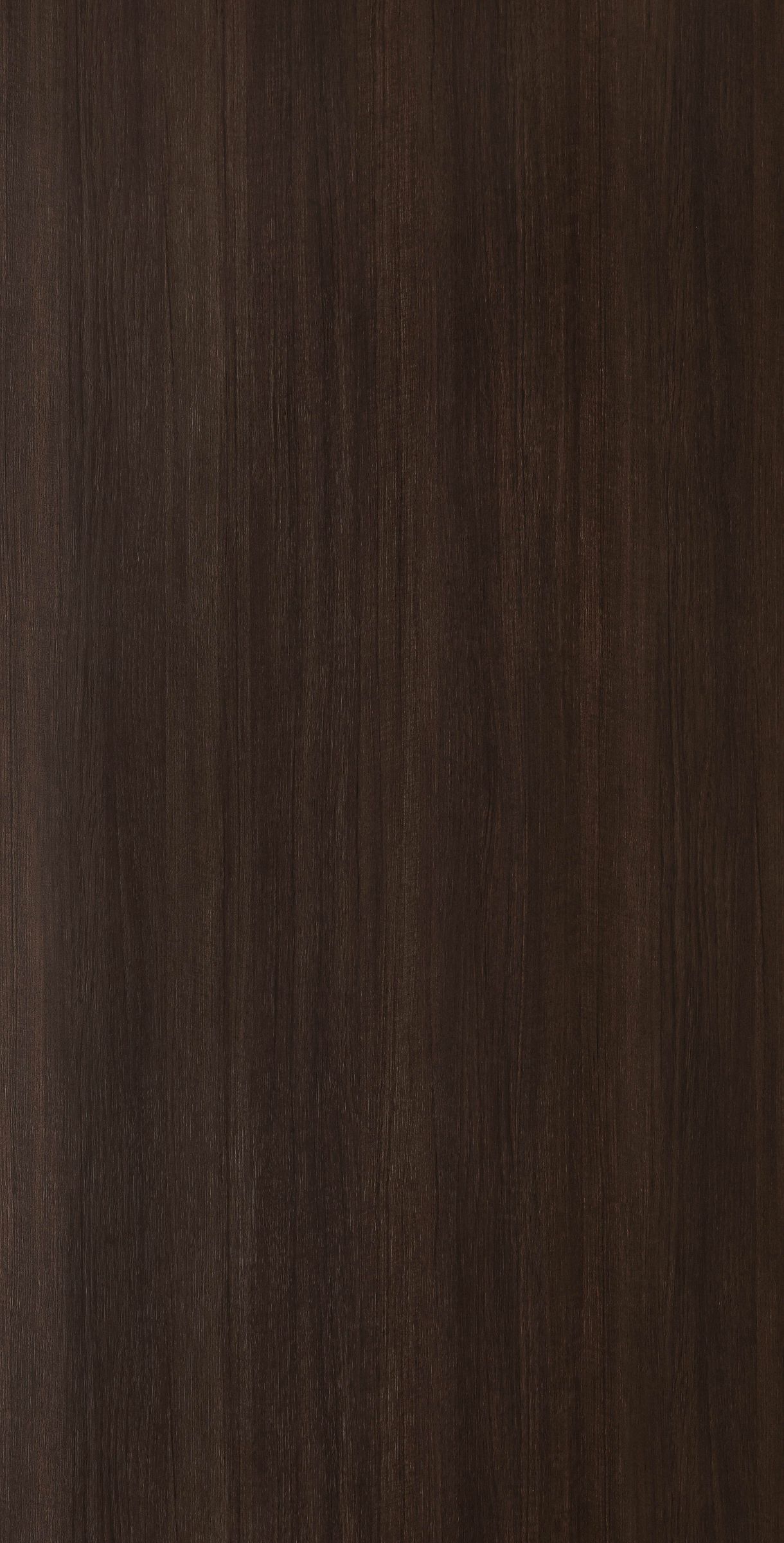 案件编号～SC62 众筹丧费 为终生瘫痪往生者完成身后事